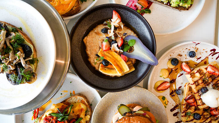 Assorted plates of brunch food at All Things Equal.