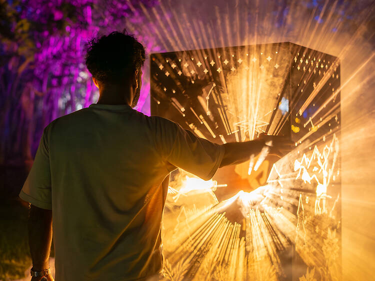 Glow at Sydney Zoo