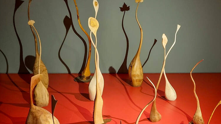 Brotes (Real Jardín Botánico).