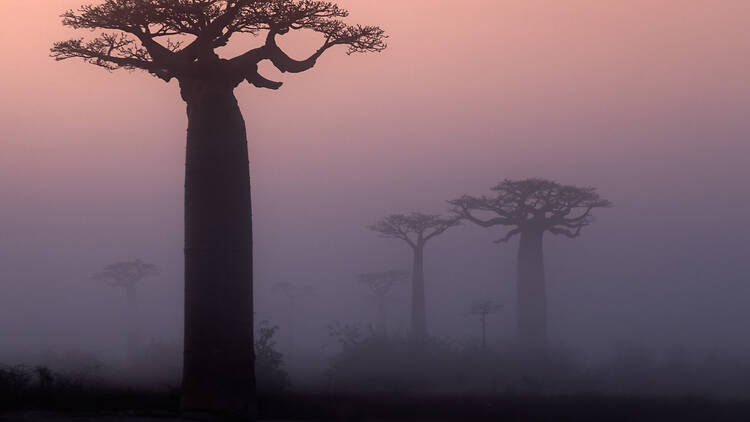 Tonga Soa, Madagascar