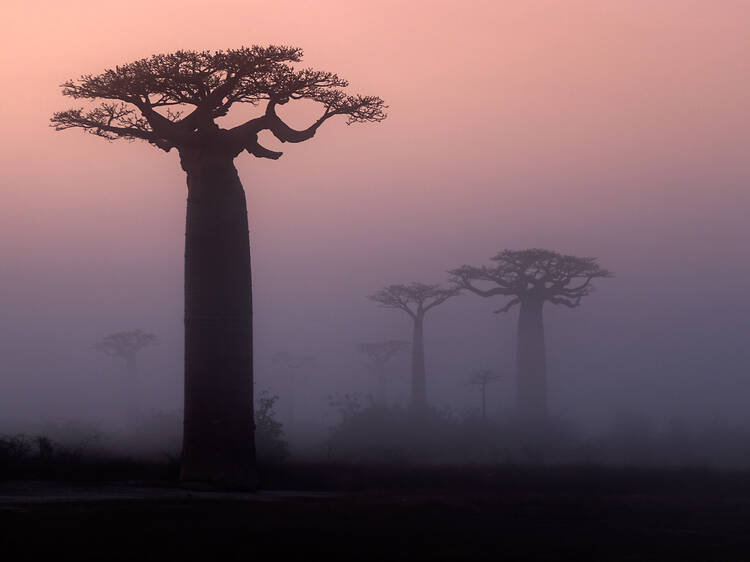 Tonga Soa, Madagascar