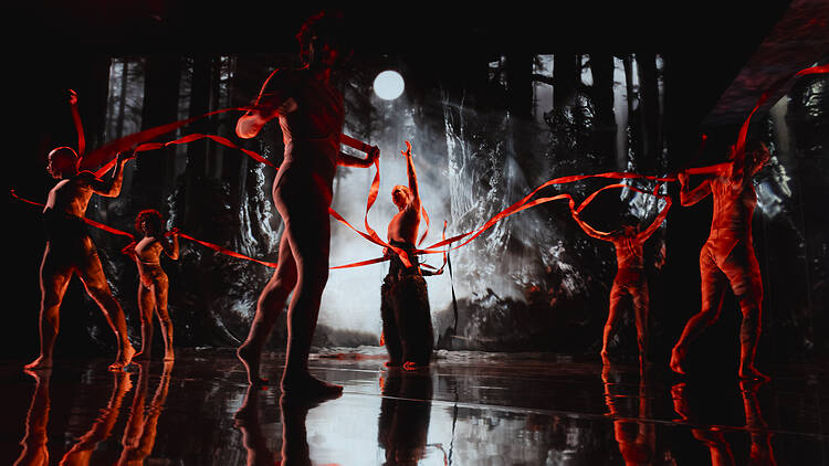 The Forest