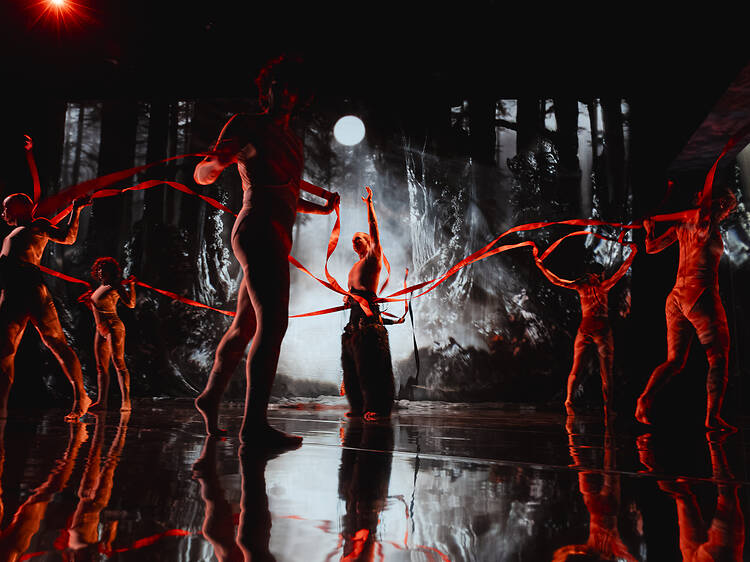The Forest
