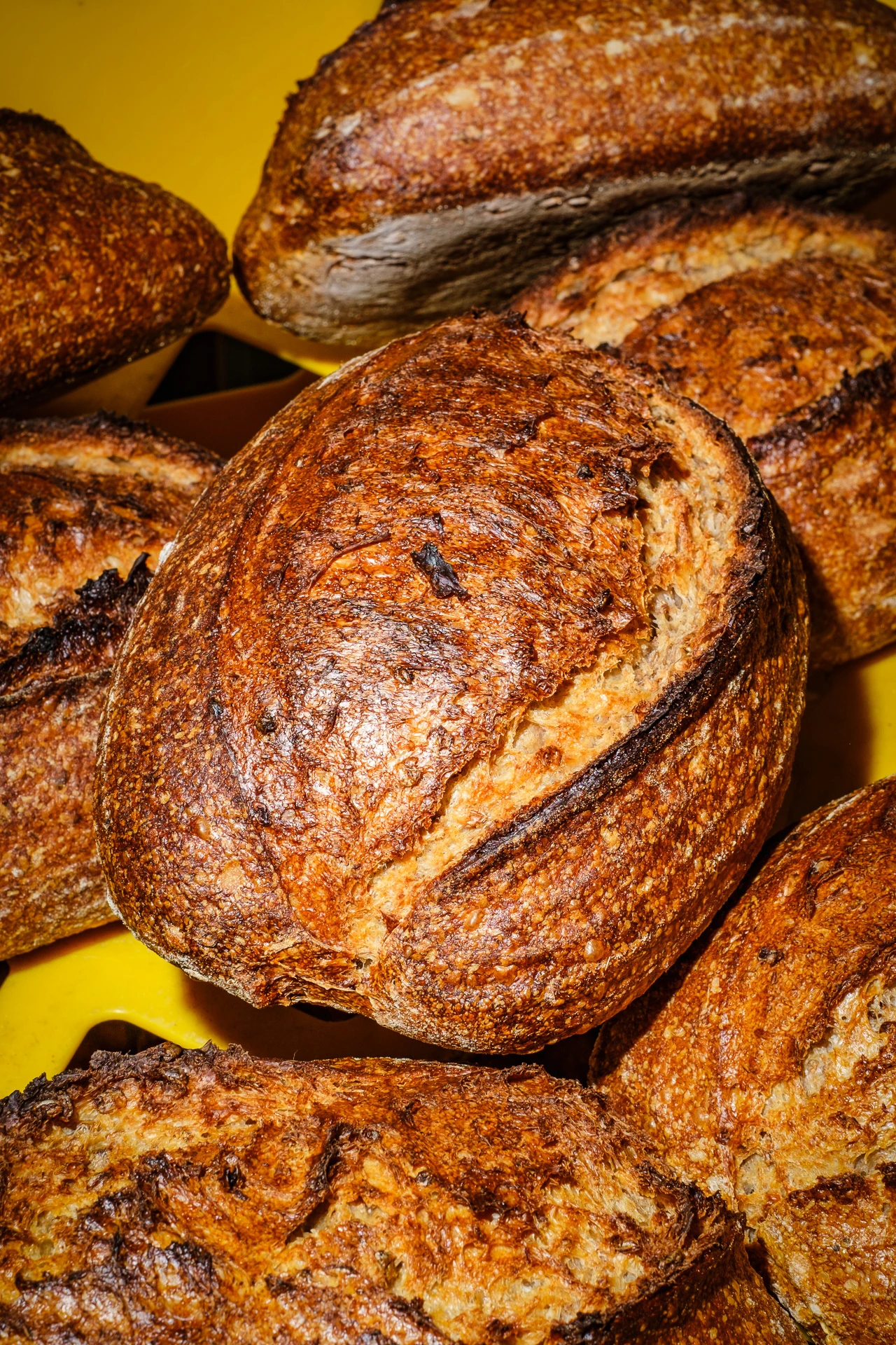 Loaves of sourdough bread
