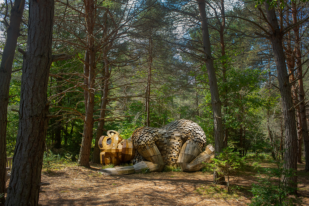 the wild center trolls