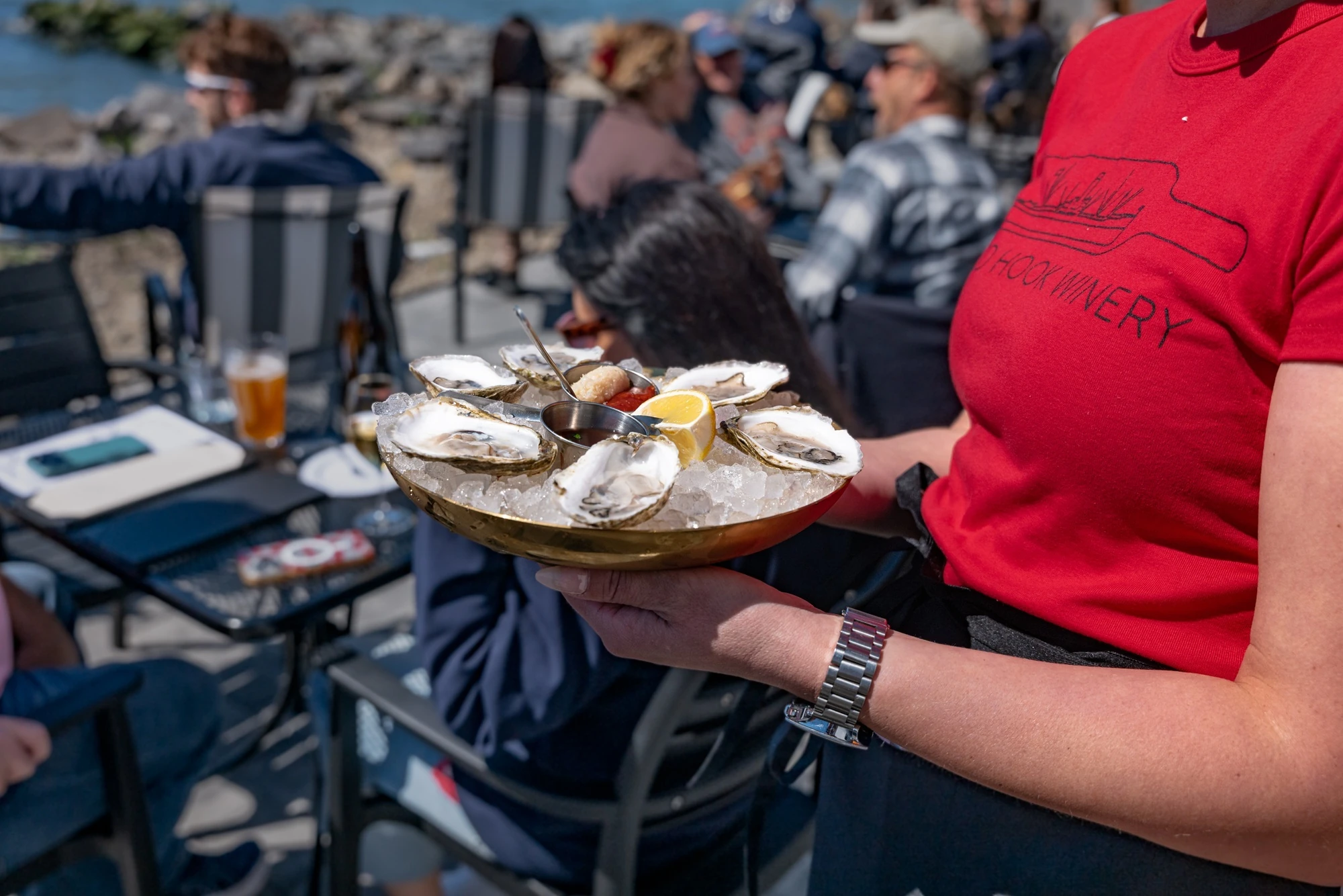 Oysters at The Red Hook Barrel Yard