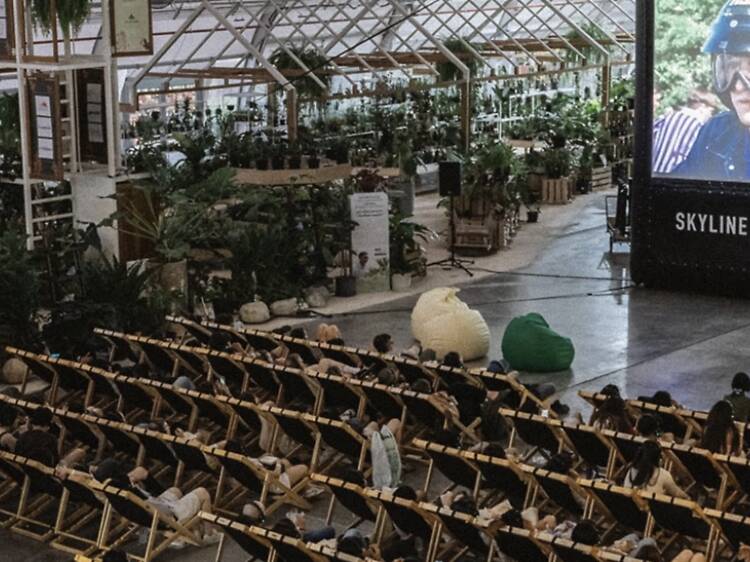 Lounge through six feel-good films inside a Bangkok glasshouse garden