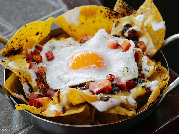 Devour bold Latin bites at Kimpton's first-ever Cinco de Mayo brunch