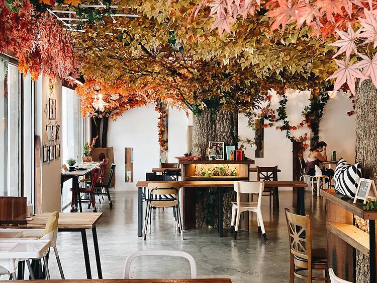 Café Kreams