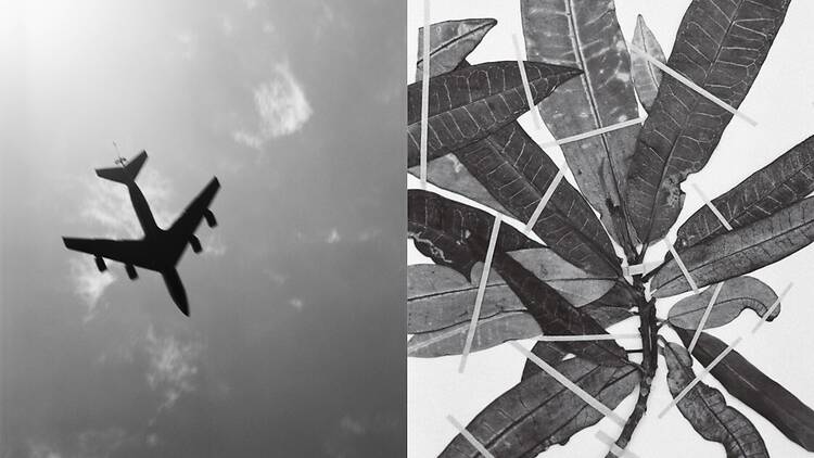 Victoire Thierrée: Okinawa!!