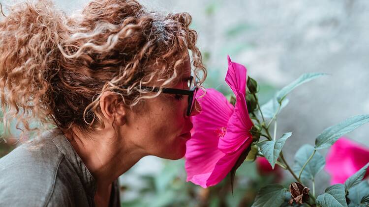 Olorar plantes