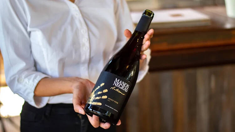 Manos Negras Artesano Pinot Noir