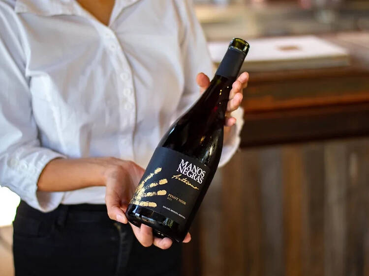Manos Negras Artesano Pinot Noir
