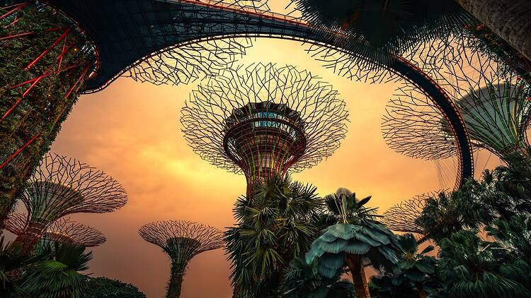Gardens by the Bay