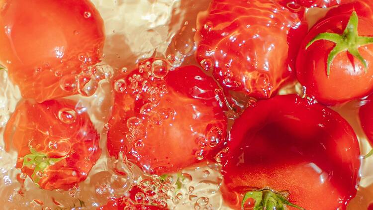 La Tomatina | Gurugram
