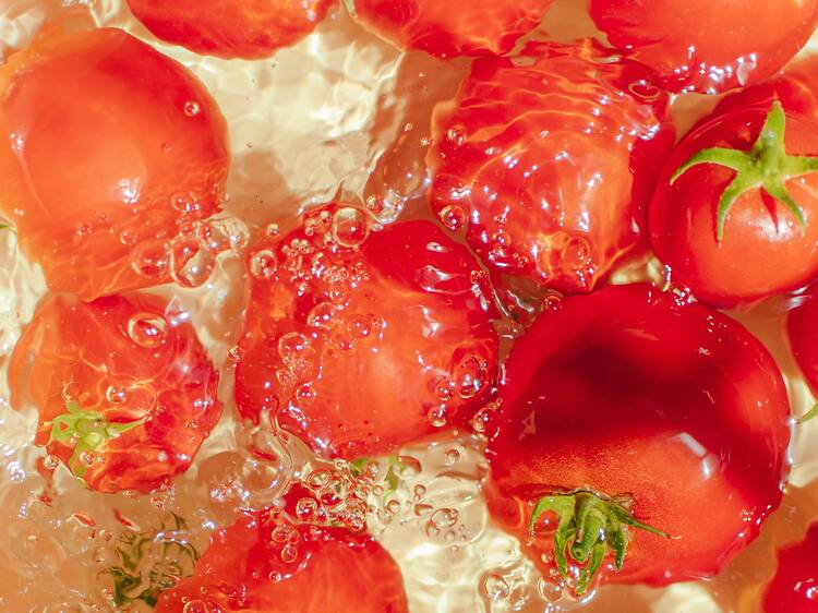 La Tomatina | Gurugram