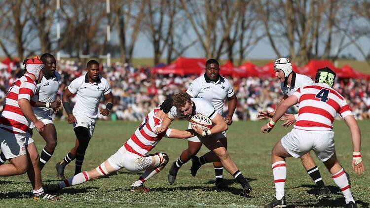 Hilton vs Michaelhouse