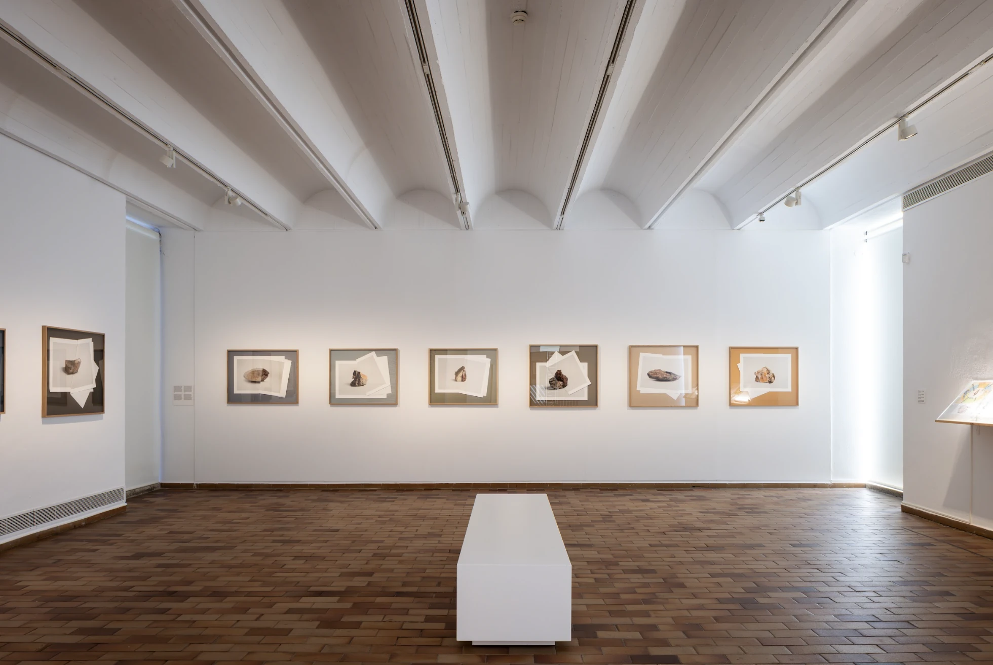 Sales de l&rsquo;exposici&oacute; Estats canviants de l&rsquo;artista Kapwani Kiwanga, guanyadora del premi Joan Mir&oacute; 2025. Fundaci&oacute; Joan Mir&oacute;. 