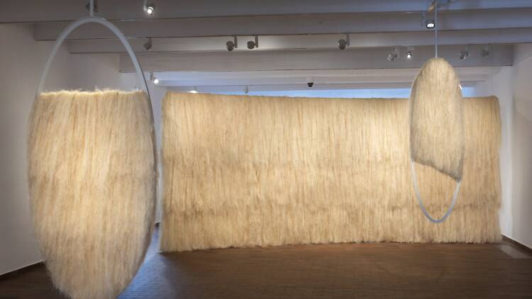 Sales de l’exposició Estats canviants de l’artista Kapwani Kiwanga, guanyadora del premi Joan Miró 2025. Fundació Joan Miró. 