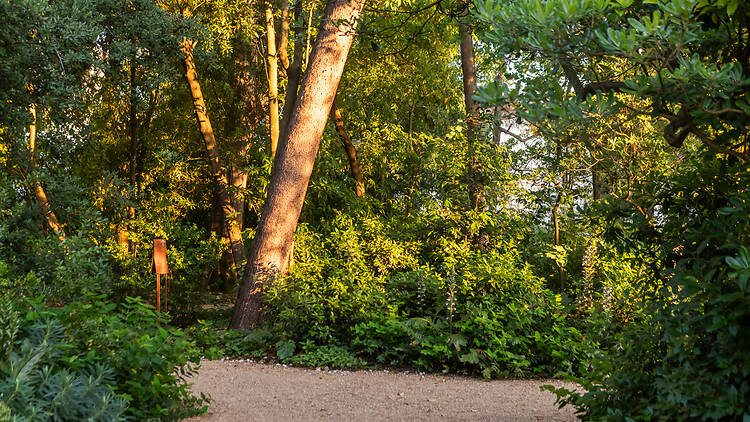 Jardim Gulbenkian