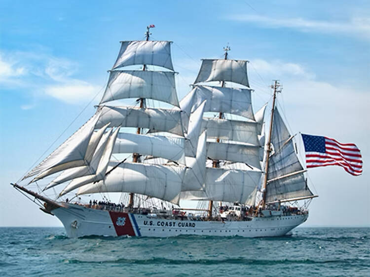 The largest maritime gathering in U.S. history is happening in NYC this summer
