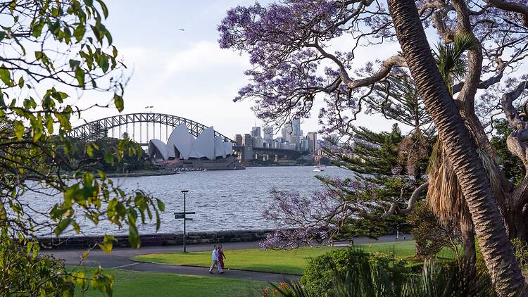 Royal Botanic Garden Sydney