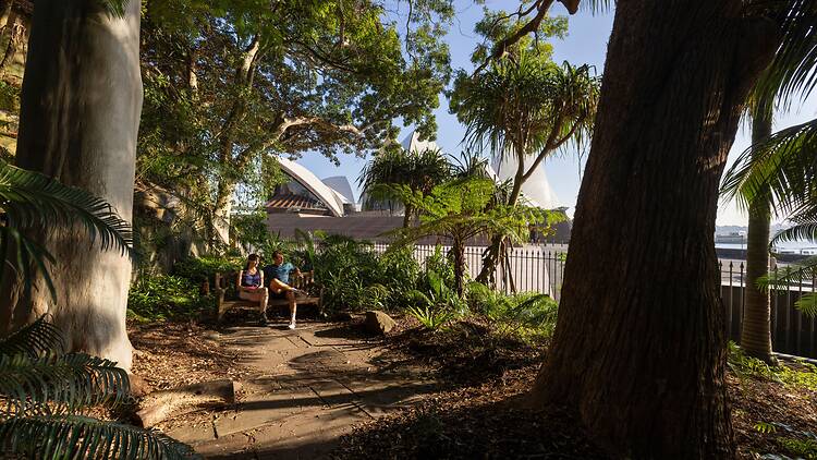 Royal Botanic Garden Sydney