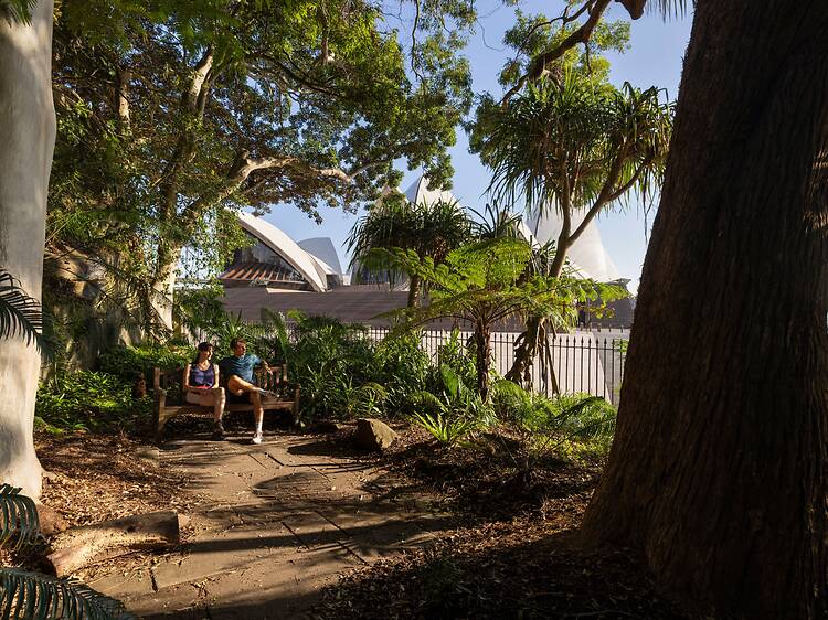 Royal Botanic Garden Sydney