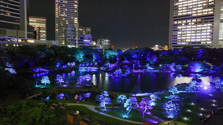 Kyu-Shiba-Rikyu Gardens Night Party