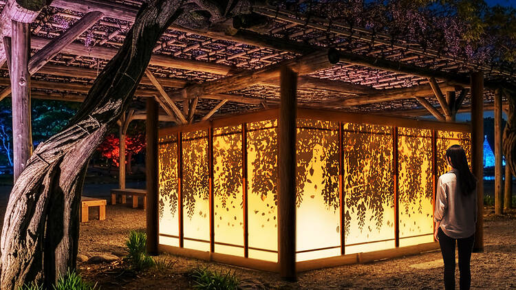 Kyu-Shiba-Rikyu Gardens Night Party