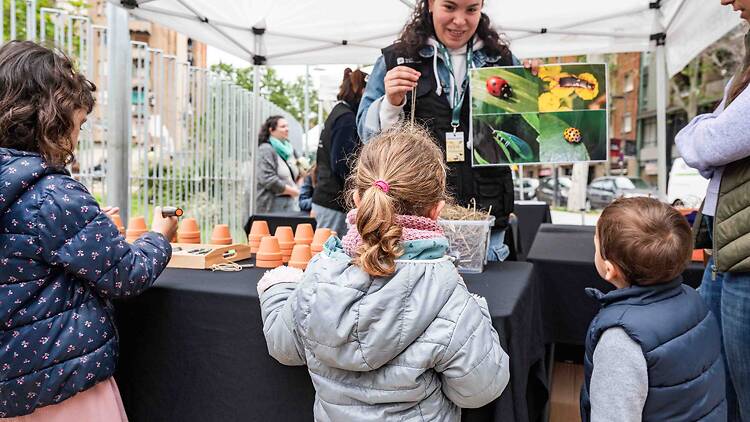 La Festa de la Primavera I Foto: Edu Pedrochi