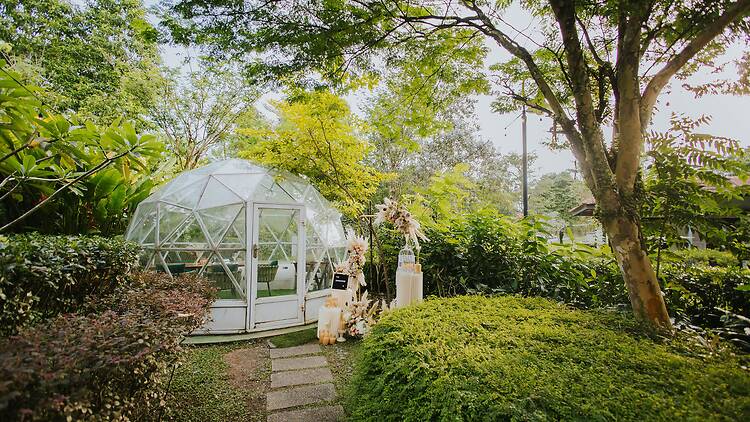 Botanico at The Summerhouse