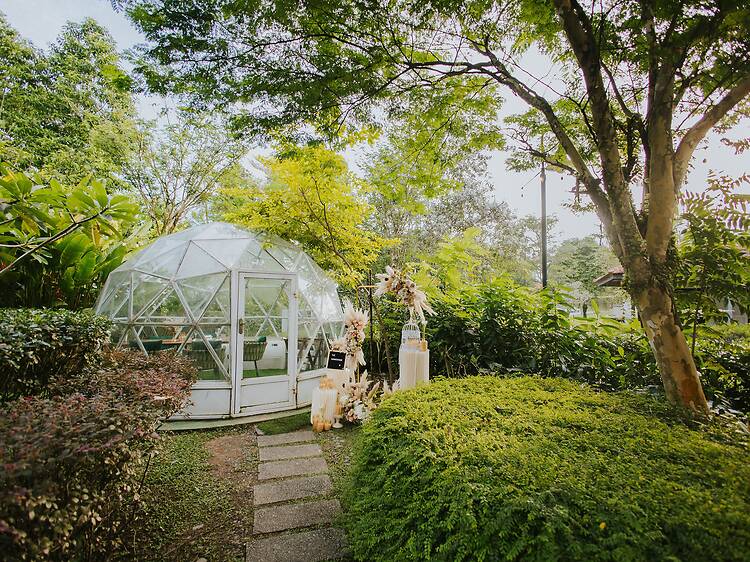 Botanico at The Summerhouse