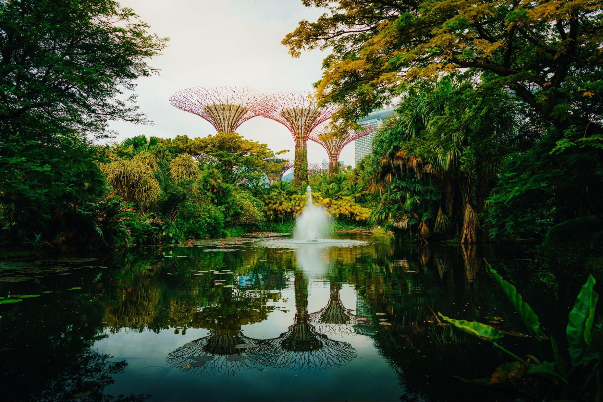 An insider’s guide to Singapore: where to stay, eat, and explore beyond the tourist trail