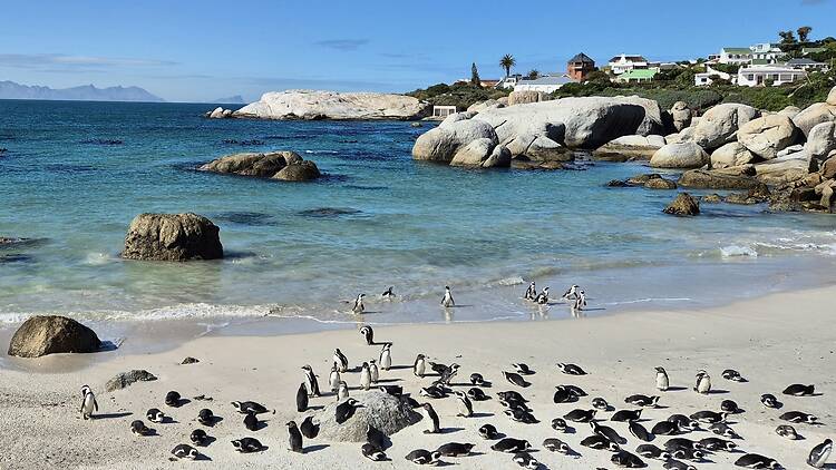 Boulders beach