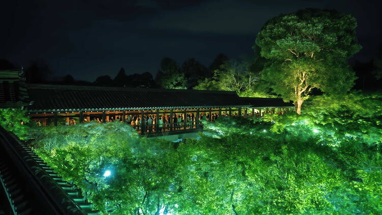 Zen Night Tofukuji, Kyoto