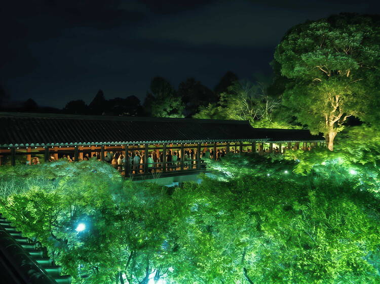 Zen Night Tofukuji, Kyoto