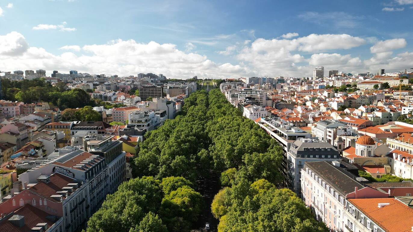 Em Maio, os bastidores da Avenida da Liberdade ficam à vista