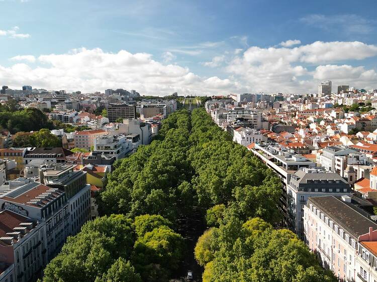 Em Maio, os bastidores da Avenida da Liberdade ficam à vista
