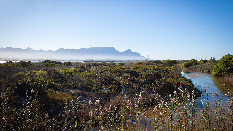 The 6 best Cape Town rivers to explore - and help restore