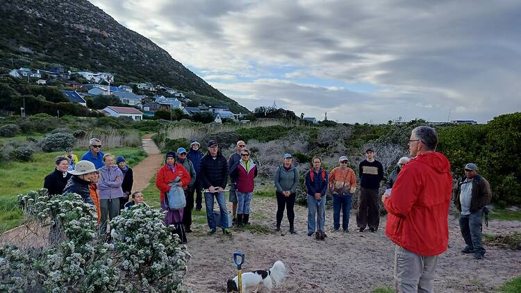 Silvermine River, Steenberg - swims, fynbos hikes and hands-on conservation
