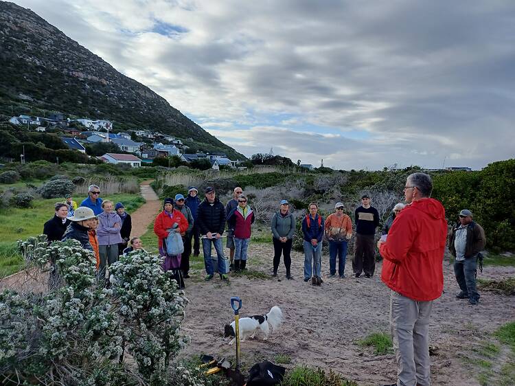 Silvermine River, Steenberg - swims, fynbos hikes and hands-on conservation