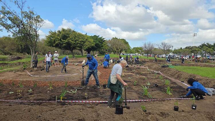 Liesbeek River, Southern Suburbs - city strolls with a conservation heartbeat