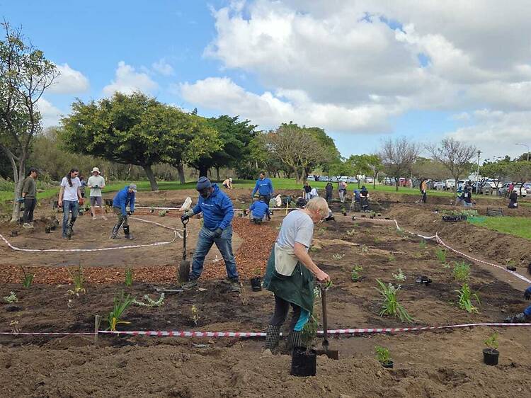 Liesbeek River, Southern Suburbs - city strolls with a conservation heartbeat