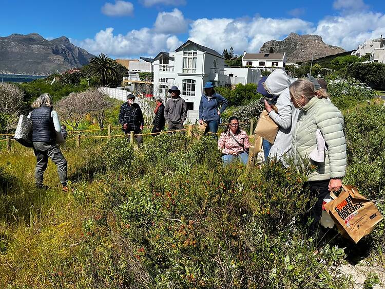 Hout Bay Rivers, Hout Bay - ocean meets river, protected by people