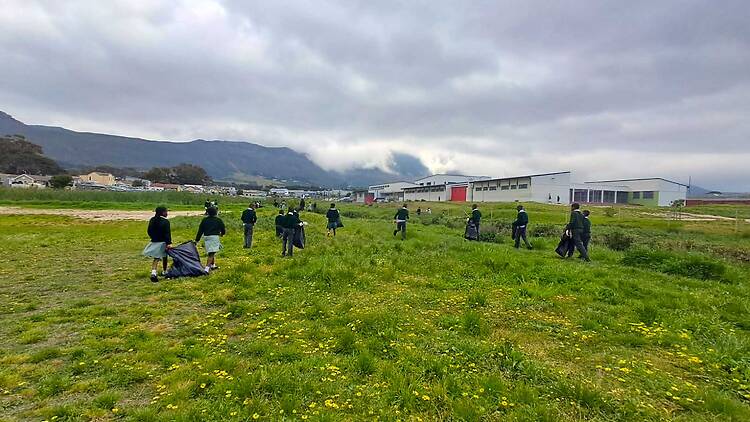 Zandvlei Estuary, Lakeside - birdlife, kayaking and citizen science