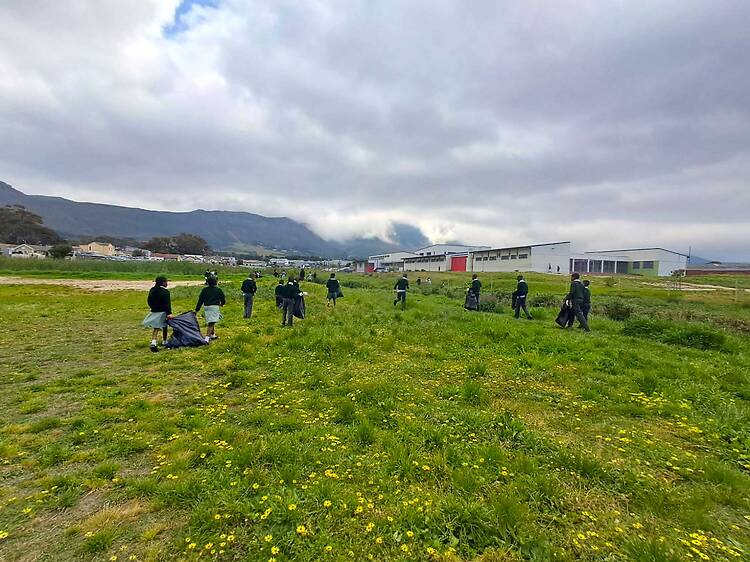 Zandvlei Estuary, Lakeside - birdlife, kayaking and citizen science