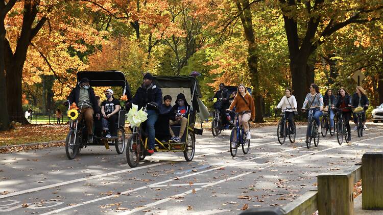 Central Park pedicabs