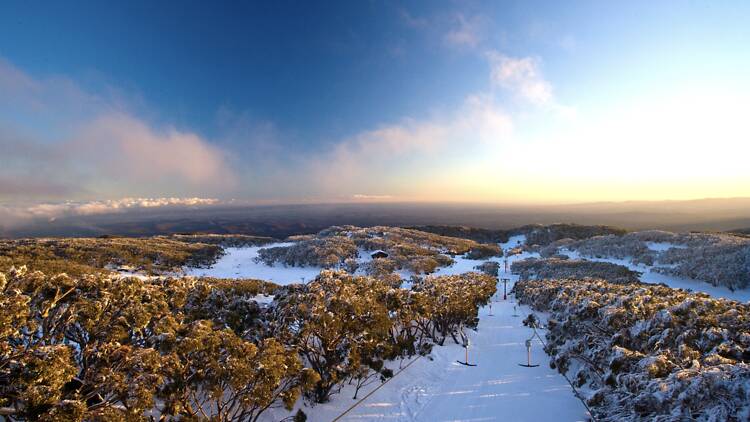 Mt Baw Baw Mt Baw Baw