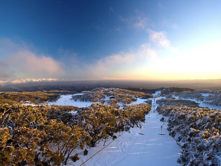 Mt Baw Baw Mt Baw Baw